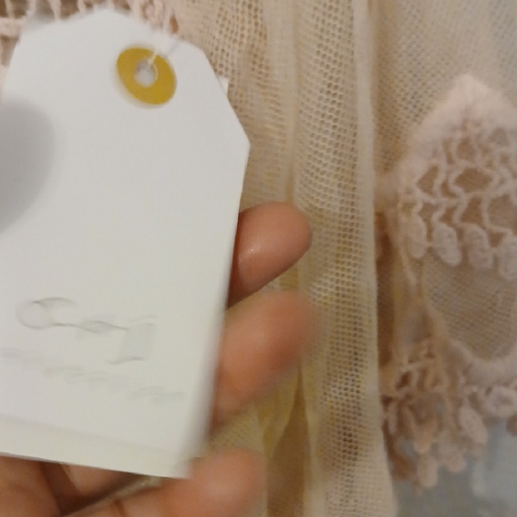 Tan Asymmetrical Ruffled Blouse with Sheer Embellishments - Picture 3 of 11